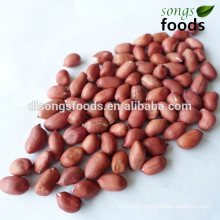 Groundnuts importers